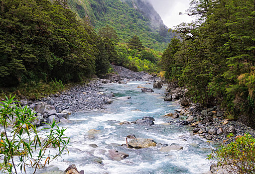 溪流,峡湾国家公园