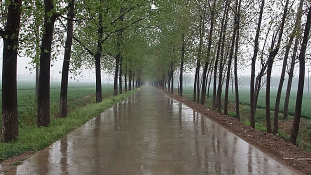 雨中持乡村公路