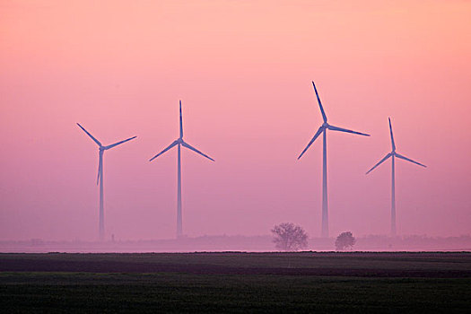风电场,雾,晨光,布尔根兰,奥地利,欧洲