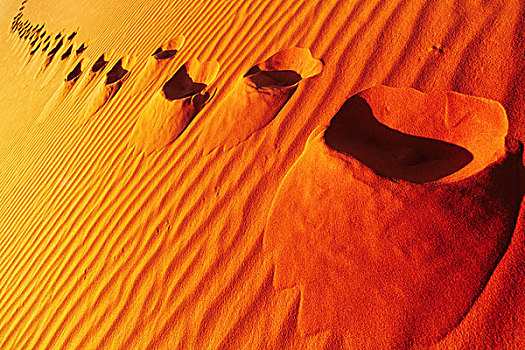 脚印,沙滩,沙丘,撒哈拉沙漠,阿尔及利亚