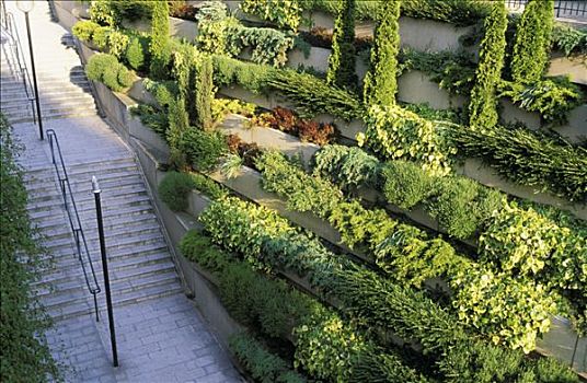 巴黎,植物,楼梯