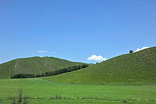 内蒙古呼伦贝尔阿尔山草原