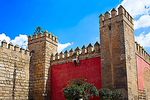 塞维利亚,王宫,要塞,门,安达卢西亚,西班牙