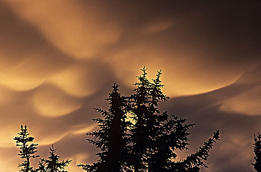 乌云,日落,灰色,省立公园,不列颠哥伦比亚省,加拿大