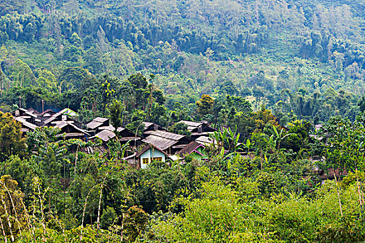 乡村,山,国家公园,东方,爪哇,印度尼西亚,大幅,尺寸