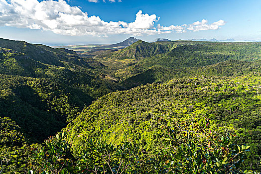 风景,俯视,峡谷,黑色,河,国家公园,毛里求斯,非洲