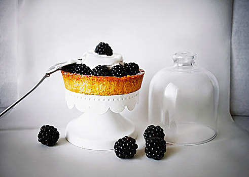 黑莓,馅饼,展示,盘子,玻璃,圆顶