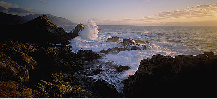 岩岬,大,海岸,加利福尼亚,美国