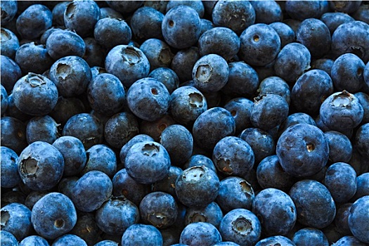 蓝莓,背景