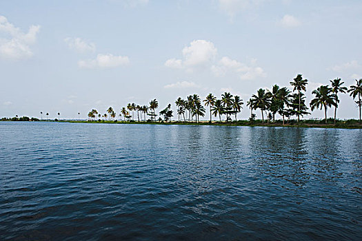 全景,泻湖,地区,喀拉拉,印度