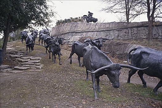 赶牛,雕塑,广场,达拉斯,德克萨斯,美国