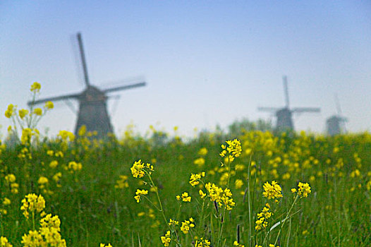 风车,水,运河,小孩堤防风车村,荷兰