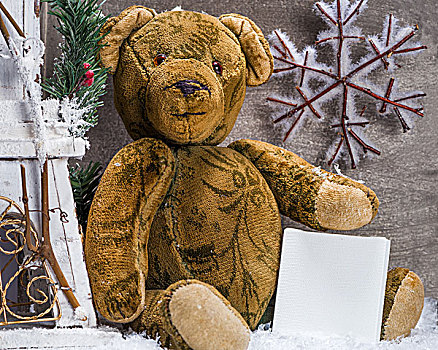 泰迪熊,坐,雪地,拿着,标识