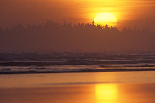 反射,太阳,海洋,长滩,环太平洋国家公园,自然保护区,温哥华岛,不列颠哥伦比亚省,加拿大