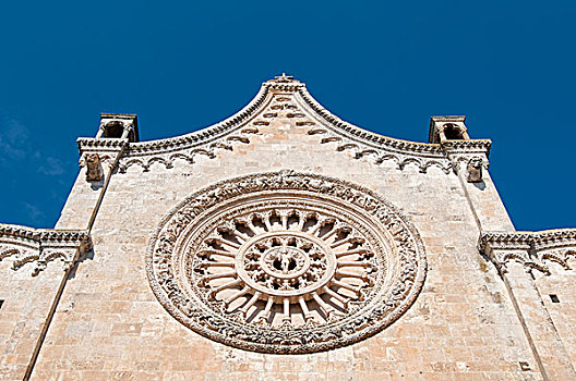 圆花窗,大教堂,圣母升天教堂,阿普利亚区,意大利,欧洲