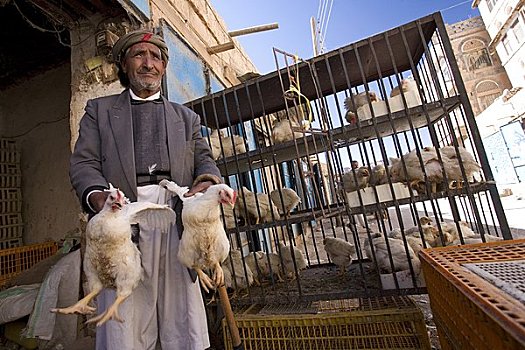 牲畜,鸡,市场,图拉,也门