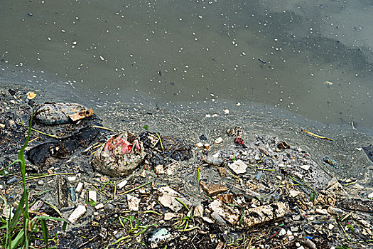 水污染,河,垃圾