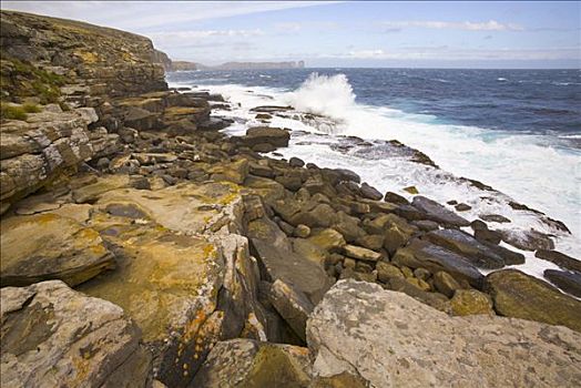 岩石,海岸,峭壁,彩色,苔藓,海狸,岛屿,福克兰群岛