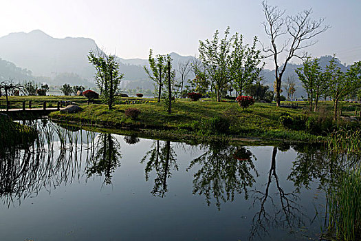 屯溪江边湿地小景