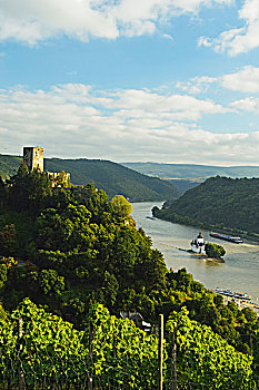 城堡,高处,莱茵河,莱茵兰普法尔茨州,德国