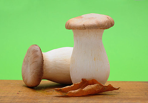 两个,法国,蘑菇