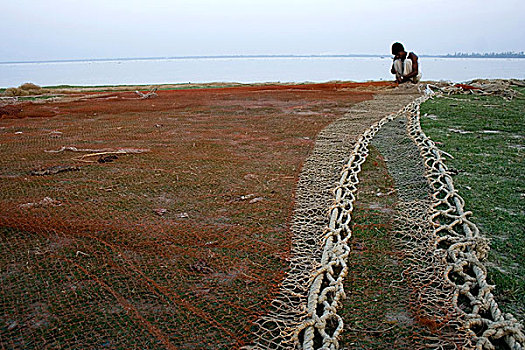 渔民,编织,网,库尔纳市,孟加拉,一月,2008年