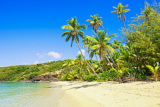 热带沙滩,岛屿,多,斐济,大洋洲