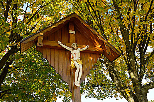 十字架,在下面,田枫树,在秋天,上普法尔茨,巴伐利亚,德国