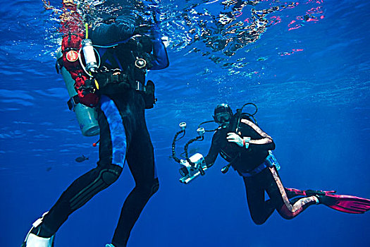莫洛基尼岛,毛伊岛,夏威夷,美国,两个,潜水者,摄像机