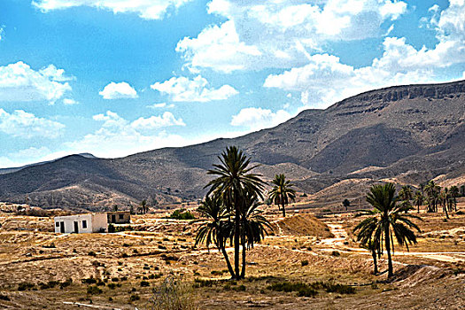 全景,沙漠,乡村,迈特马泰,突尼斯,非洲