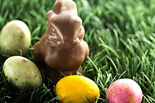 巧克力兔,小,复活节彩蛋,草