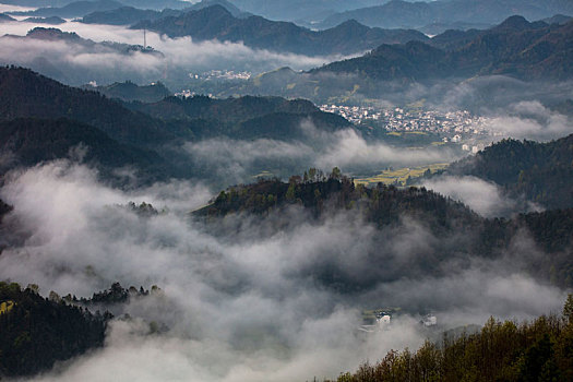 石潭,云海,安徽,山沟,油菜花,风光,壮观,气候,环境,仙境,诱惑,秀美,俯瞰,村庄