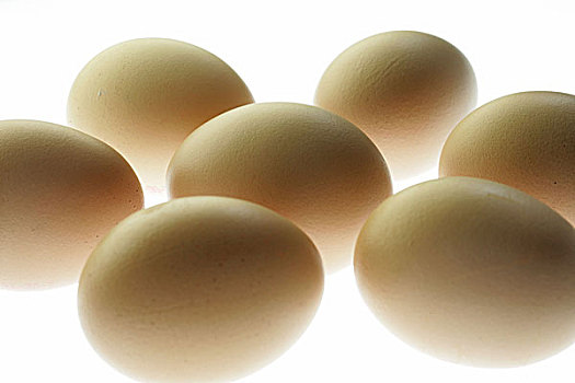 鸡蛋,特写,食物,蛋,剥皮,蛋壳,褐色,相同,椭圆,外皮,脆弱,胆固醇,蛋白质,起点,开端,招待,静物,工作室,留白