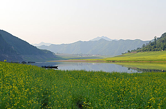 集安油菜花花海