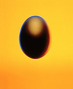 卵,蓝色,轮廓,黄色背景