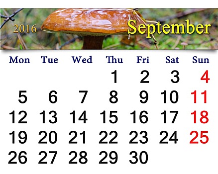 日程,九月,大,蘑菇