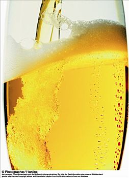 啤酒杯,啤酒,一个,酒吧,扎啤,啤酒沫,饮料,酒,食物