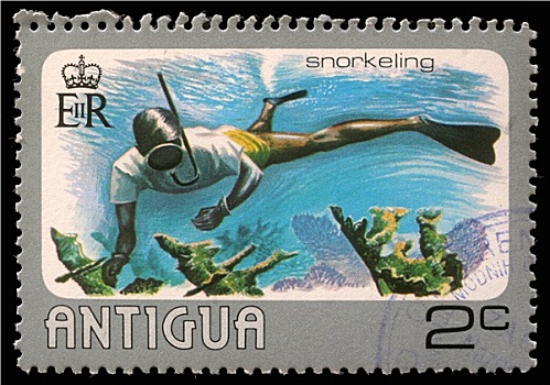 邮票,安提瓜岛,水,潜水