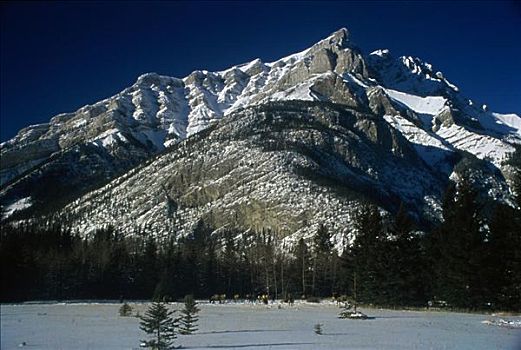 麋鹿,正面,积雪,山,班芙国家公园,艾伯塔省,加拿大