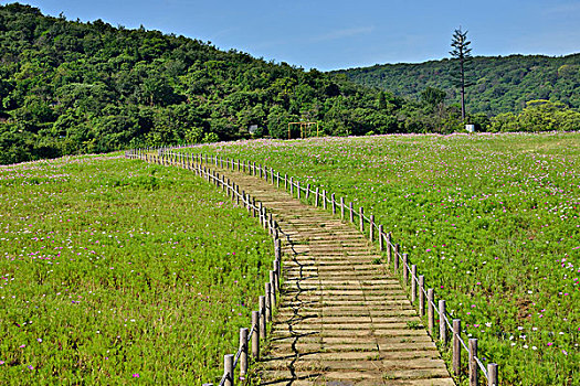 山间步道