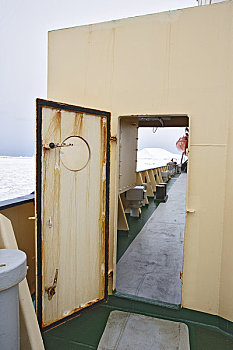 甲板,破冰船,南极