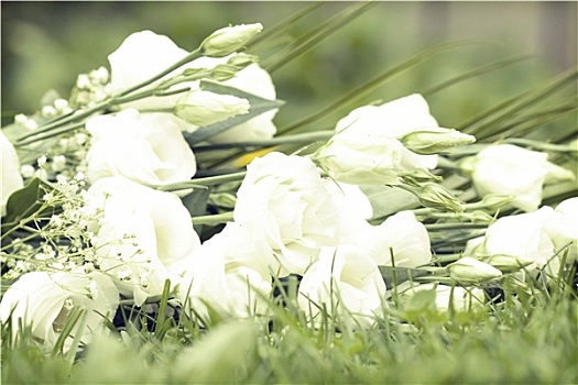 花束,白色,玫瑰