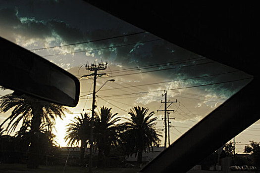 棕榈树,天空,汽车