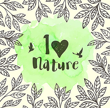绿色,矢量,花,叶子,鸟,水彩,纹理,环境,概念,喜爱,自然,文字