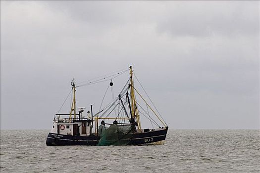 渔船,北海,德国