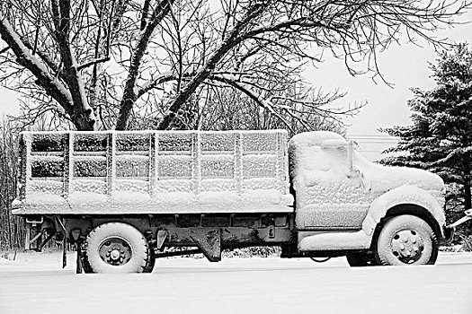 积雪,农场,卡车