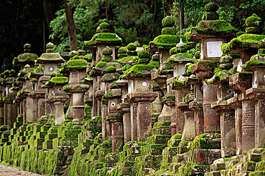 神祠,奈良,日本,著名,大,数字,古老,石头,灯笼,线条,入口,小路