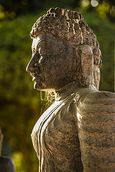 头部,佛像,蓝毗尼,尼泊尔,亚洲