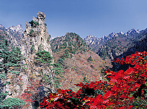 俯拍,山峦