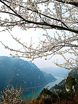 长江三峡西陵峡春天